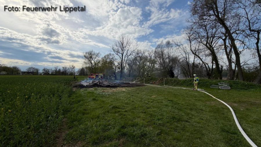 Brandeinsatz Feuer_0